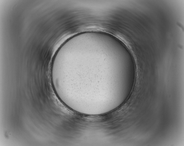 X0000100351392200806201530