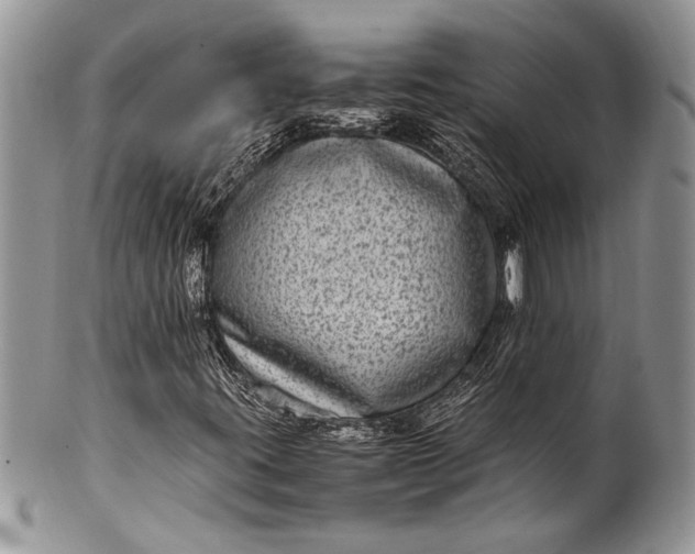 X0000100351395200806201529