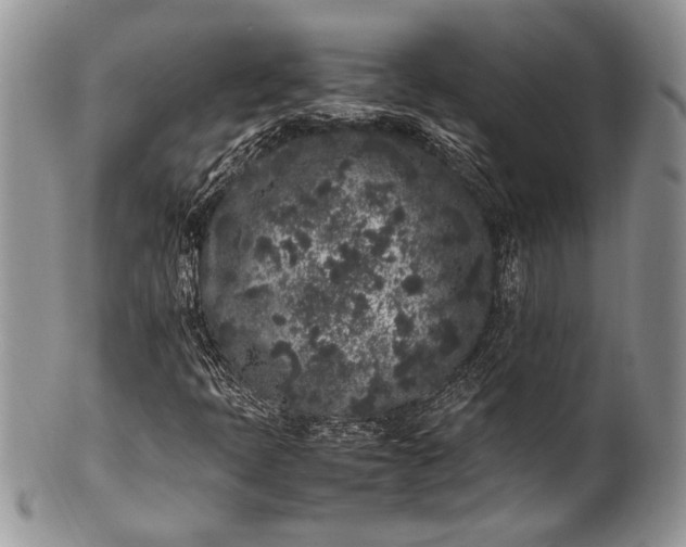 X0000100351397200806201529
