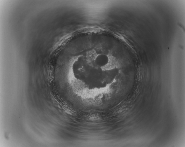 X0000100351399200806201529