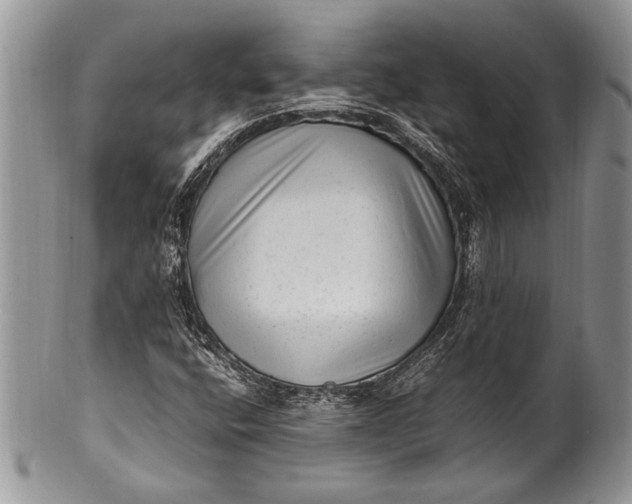 X0000100351400200806201529