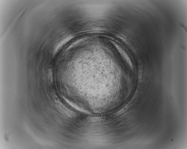 X0000100351402200806201529