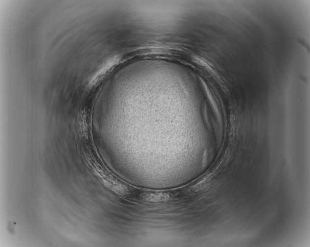 X0000100351403200806201529
