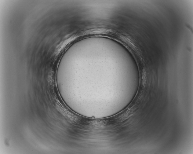 X0000100351404200806201529