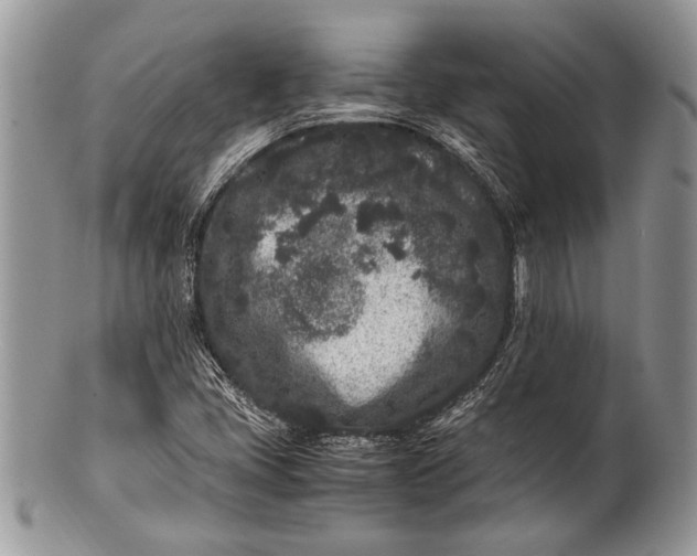 X0000100351405200806201529