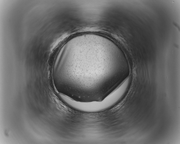 X0000100351406200806201530
