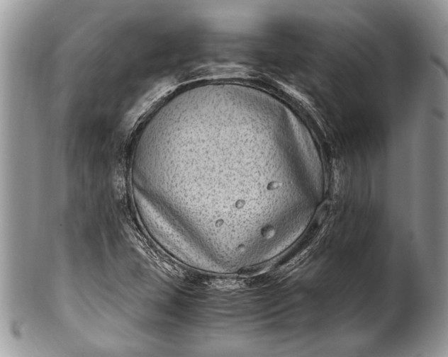 X0000100351407200806201530
