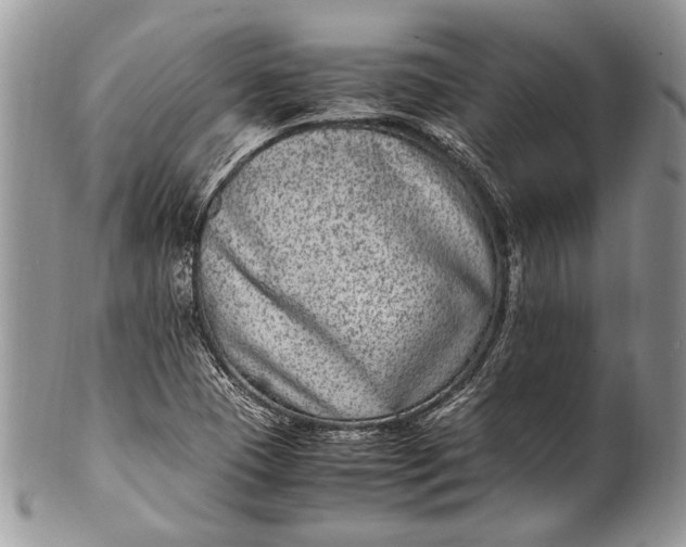 X0000100351409200806201530