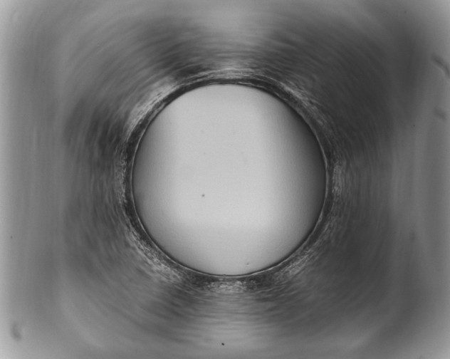 X0000100351410200806201530
