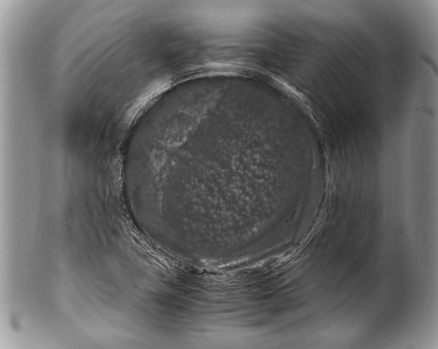 X0000100351411200806201530