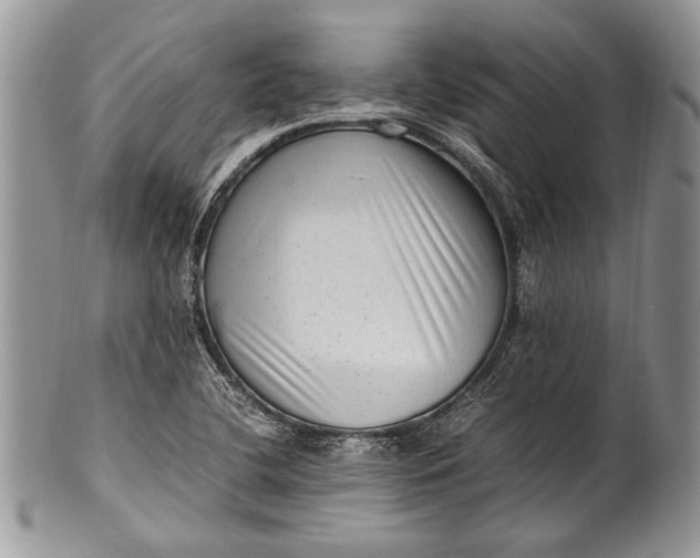 X0000100351412200806201530