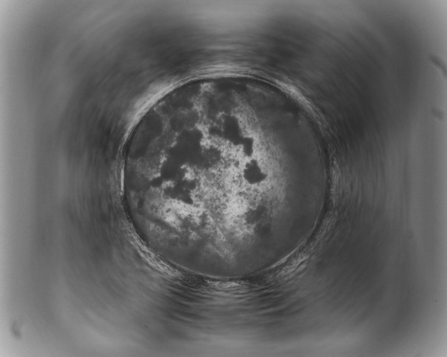 X0000100351413200806201530