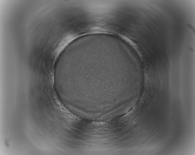 X0000100351415200806201530