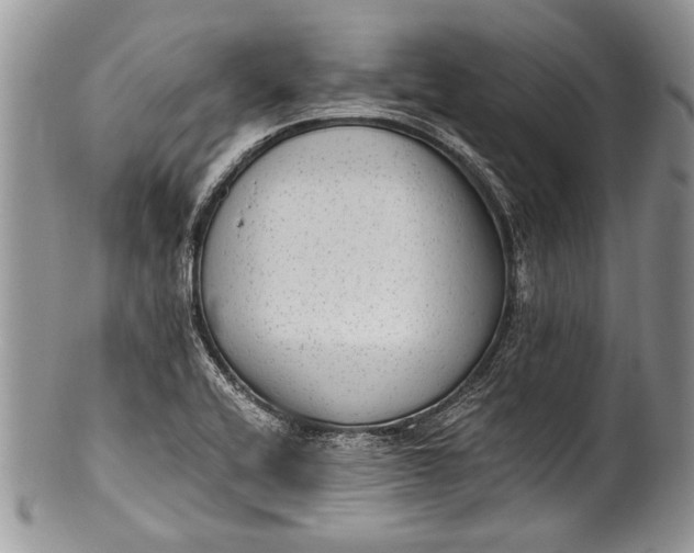 X0000100351416200806201530