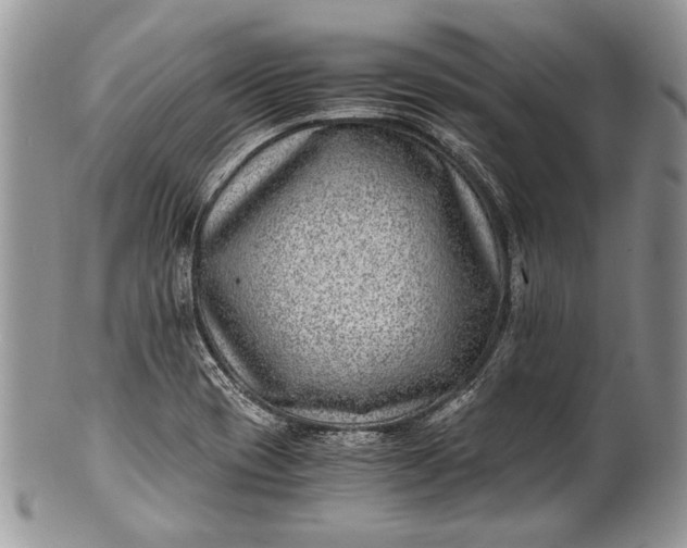 X0000100351417200806201530