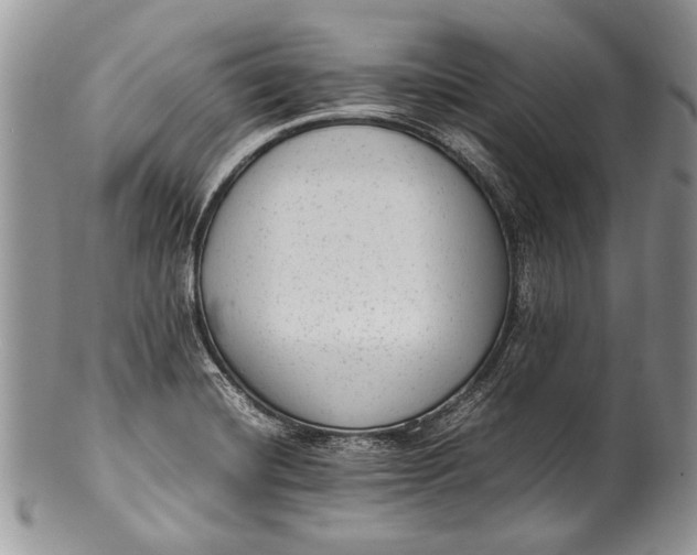 X0000100351420200806201530