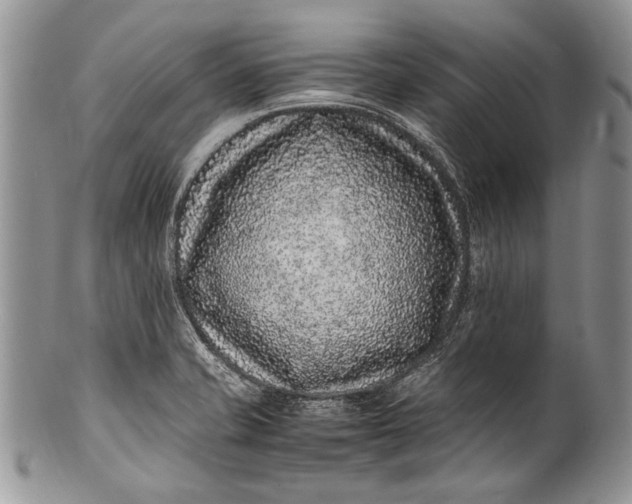X0000100351421200806201530