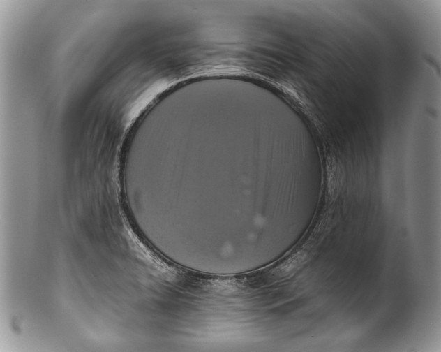 X0000100351422200806201530