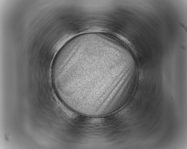 X0000100351423200806201530
