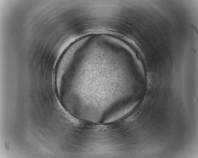 X0000100351424200806201530