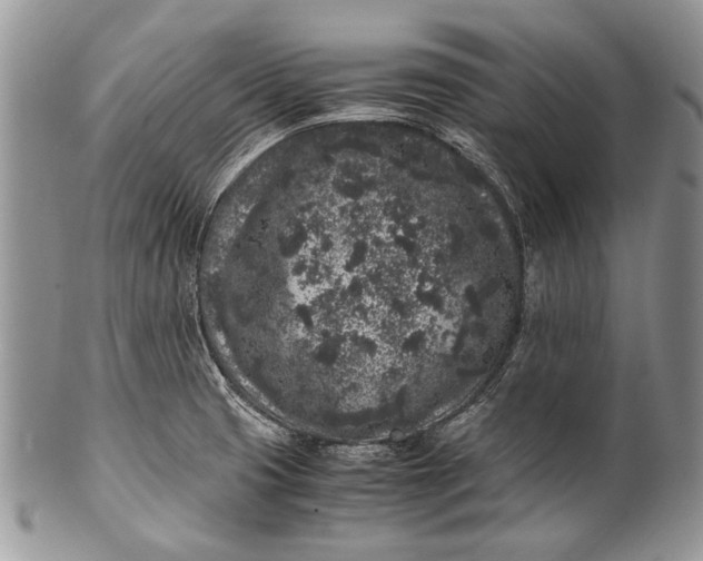 X0000100351425200806201530