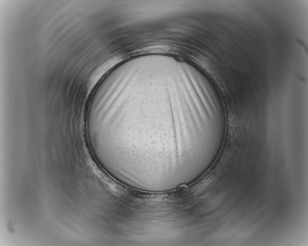 X0000100351426200806201530