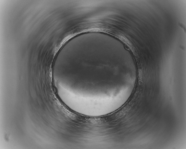 X0000100351428200806201530