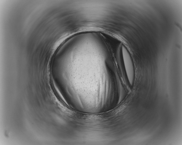 X0000100351430200806201530