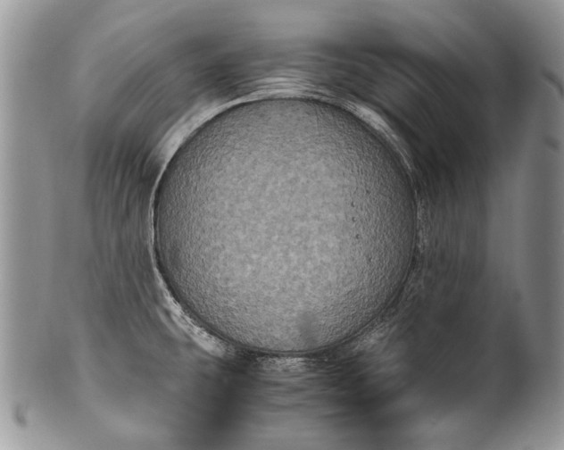X0000100351431200806201530