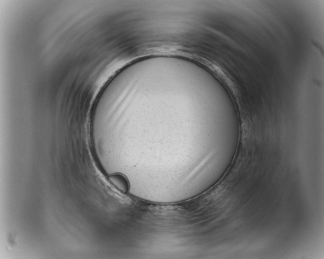 X0000100351432200806201530
