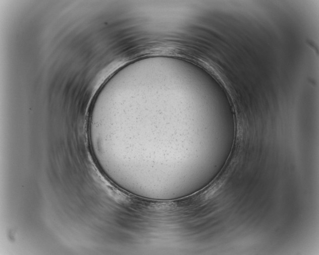 X0000100351434200806201530