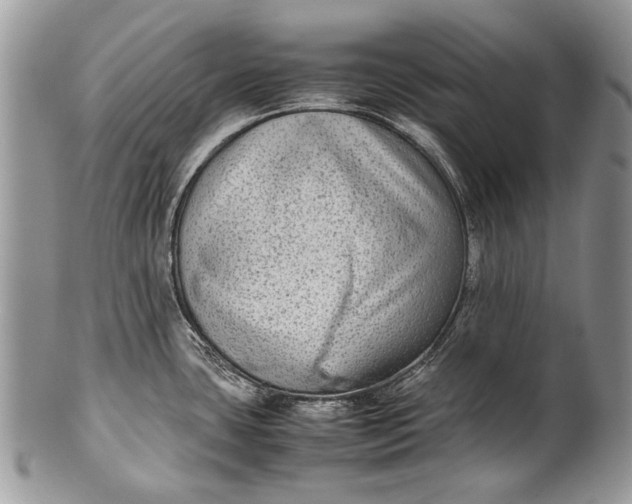 X0000100351435200806201530