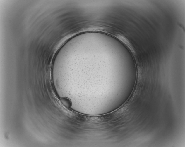 X0000100351436200806201530