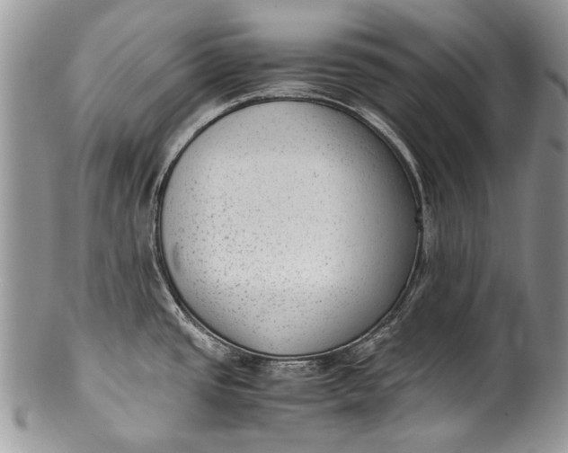 X0000100351437200806201530