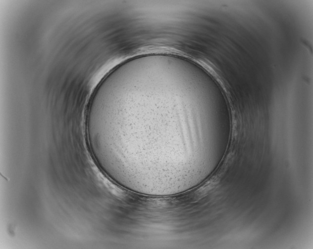 X0000100351438200806201530
