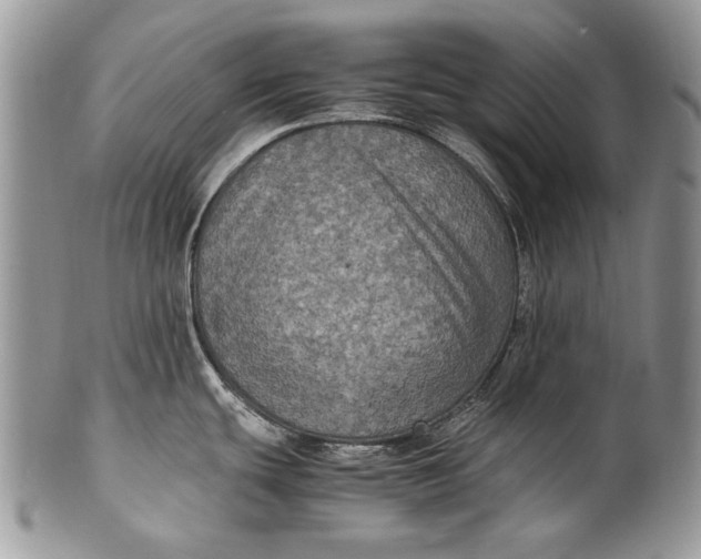 X0000100351439200806201530