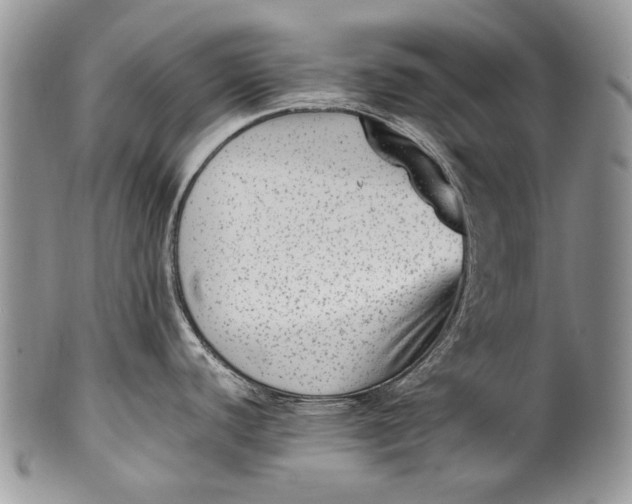 X0000100351440200806201530
