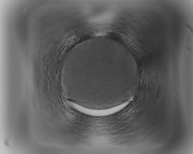 X0000100351441200806201529