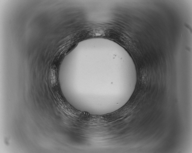 X0000100351442200806201529