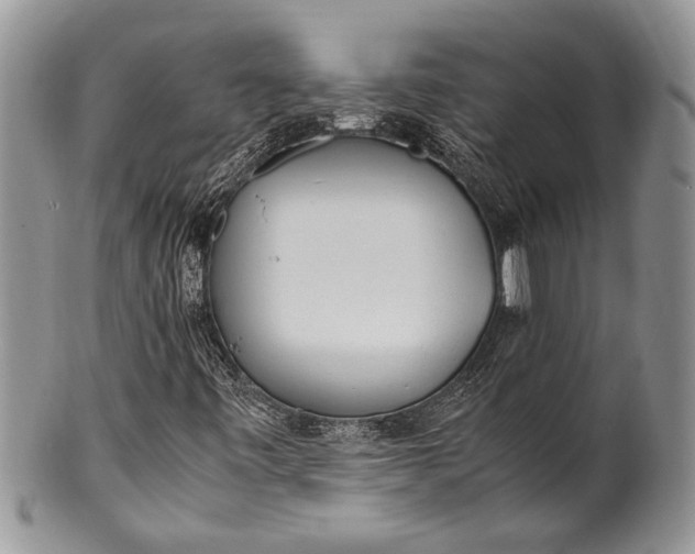 X0000100351443200806201529