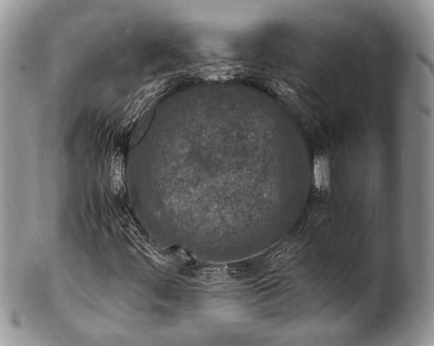 X0000100351444200806201529