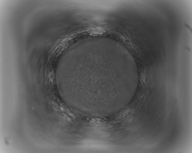 X0000100351445200806201529