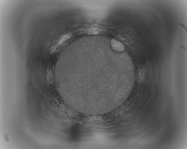X0000100351446200806201529