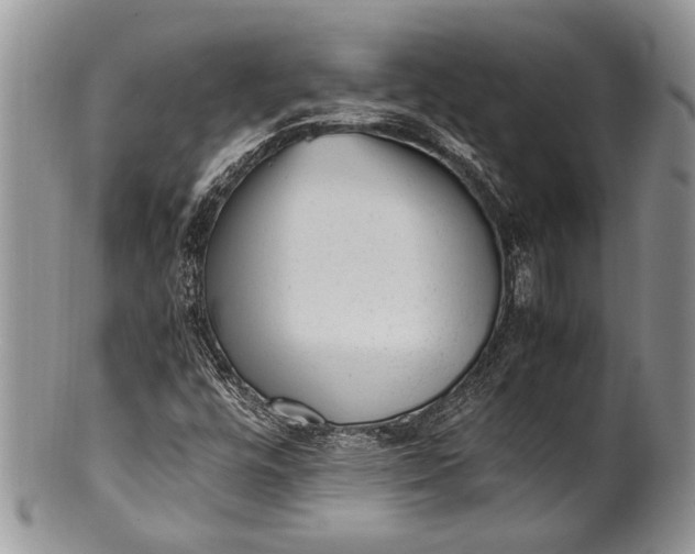 X0000100351448200806201529