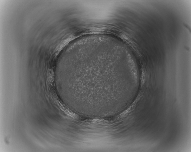 X0000100351449200806201529