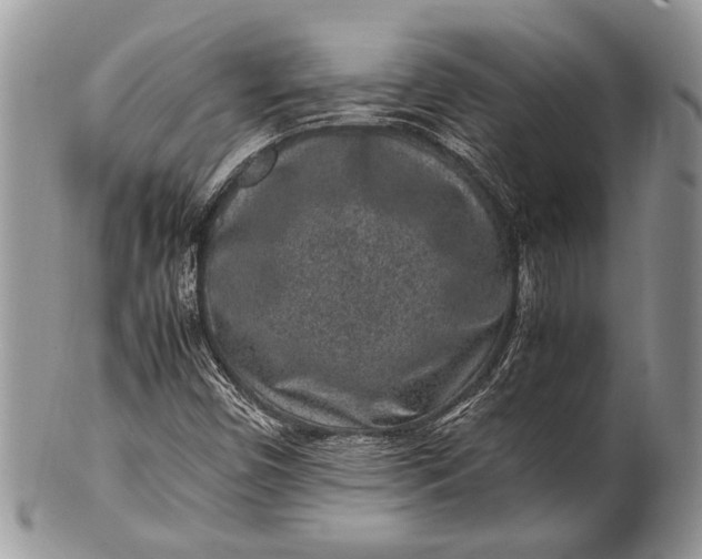 X0000100351450200806201529
