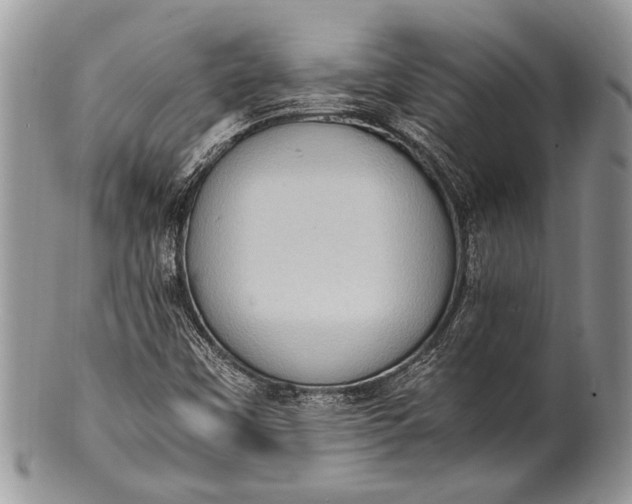X0000100351451200806201529