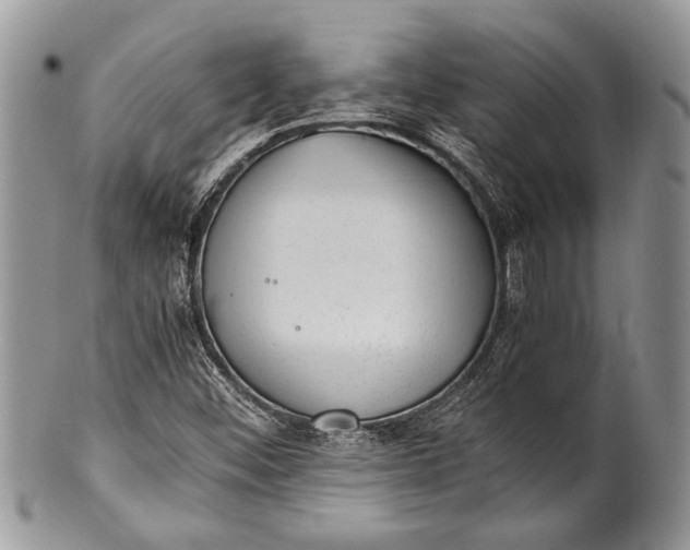 X0000100351452200806201529