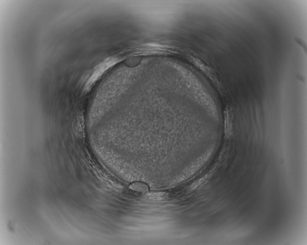 X0000100351453200806201529