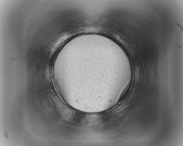 X0000100351454200806201529